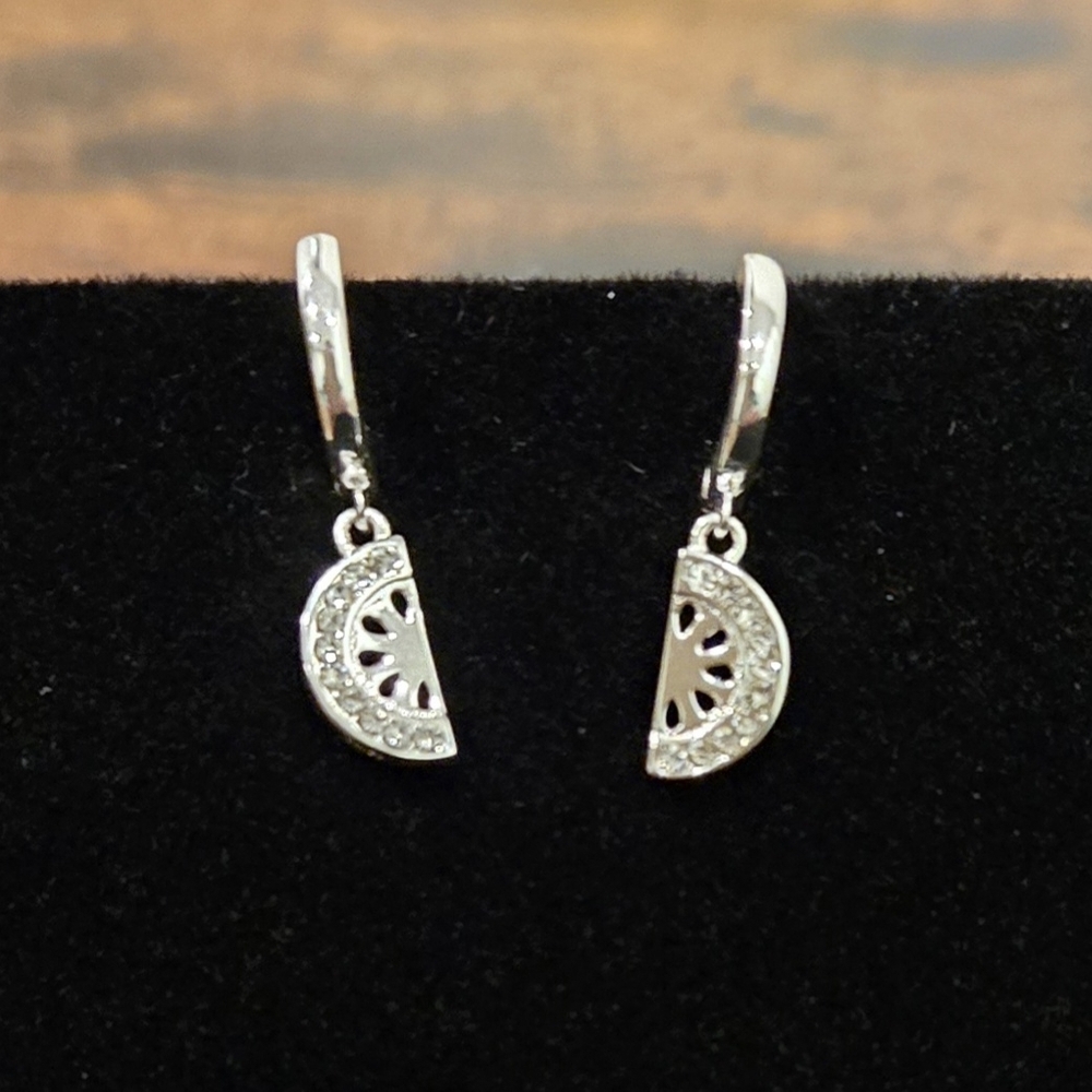 Elegant Silver Watermelon Earrings🍉